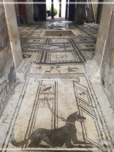 Mehr über den Artikel erfahren Die verschüttete Stadt Pompeji