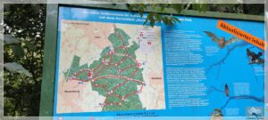 Mehr über den Artikel erfahren Neuenburger Urwald