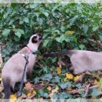 Geschäftsreise_IMG_20231120_145545