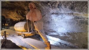 Mehr über den Artikel erfahren Salzbergwerk Wieliczka