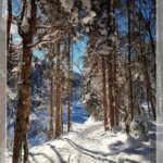 Breitachklamm in Oberstdorf