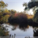 Herbst an der Amper