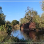 Herbst an der Amper