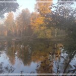 Herbst an der Amper