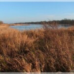 An der Elbe