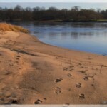Spuren im Sand