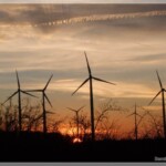 Windräder im Sonnenuntergang
