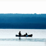 Angler