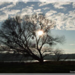 An der Elbe