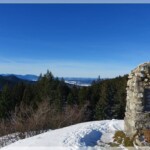 Weitblick