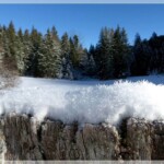 Schneekristalle