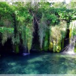 Moosvorhang, Plitvicer Seen, Kroatien