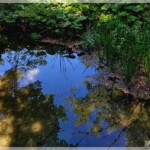 Biotop, Plitvicer Seen, Kroatien