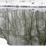 Spiegelung