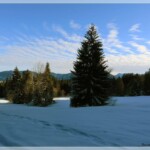 Stille