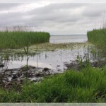 Kurische Nehrung, Litauen