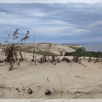 Wanderdünen, Kurische Nehrung, Litauen