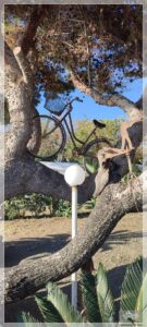 Camping La Focetta Sicula Camping La Focetta Sicula, Sizilien, Italien